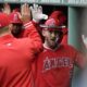 Angels vs Rays Prediction, Pick, Preview & Betting Odds - MLB 4/15/24